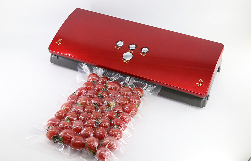 达派DS100真空机