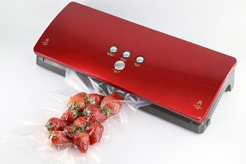 达派DS100真空包装机