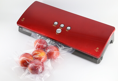 达派DS100真空保鲜机